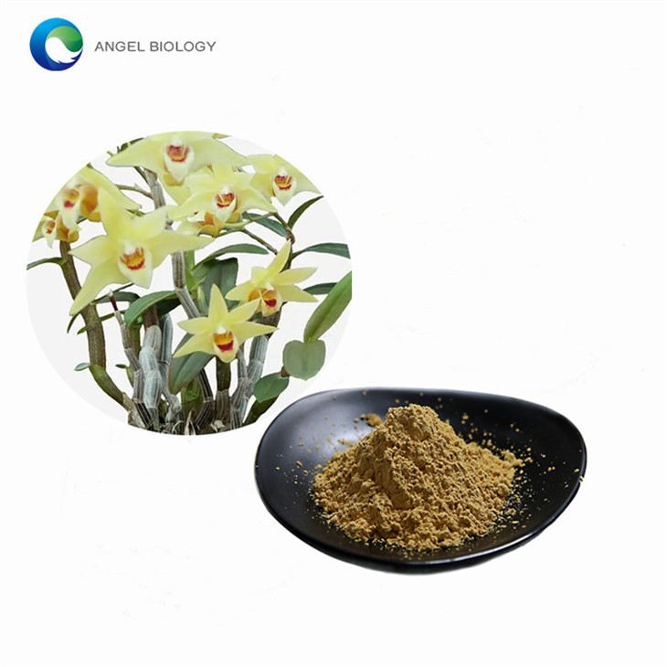 Dendrobium Officinale Extract Powder
